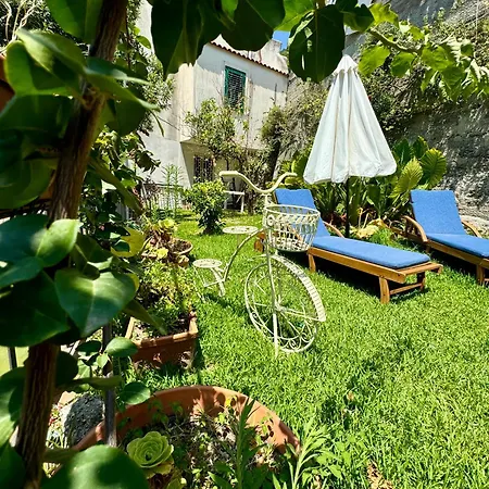 Gogas Amalfi Coast *